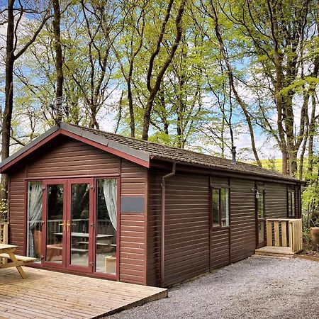Woodland View -Hot Tub-Tenby-Carmarthen-St Clears Εξωτερικό φωτογραφία