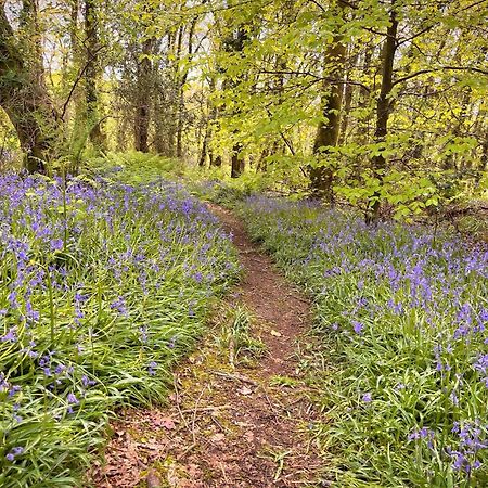 Woodland View -Hot Tub-Tenby-Carmarthen-St Clears Εξωτερικό φωτογραφία