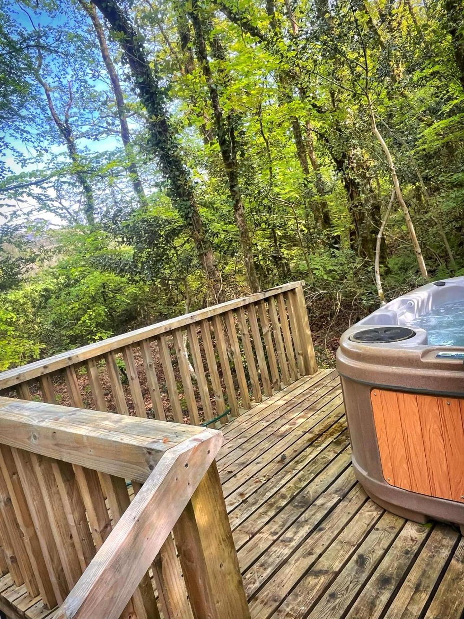 Woodland View -Hot Tub-Tenby-Carmarthen-St Clears Εξωτερικό φωτογραφία